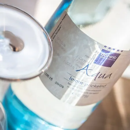 Dorint An Der Kongresshalle 4*