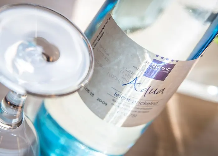 Dorint An Der Kongresshalle 4*